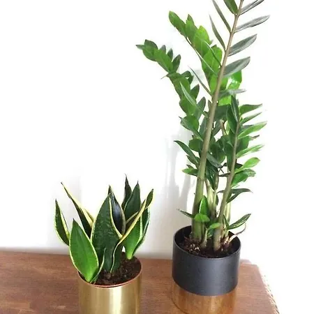 The Birds Appartamento *